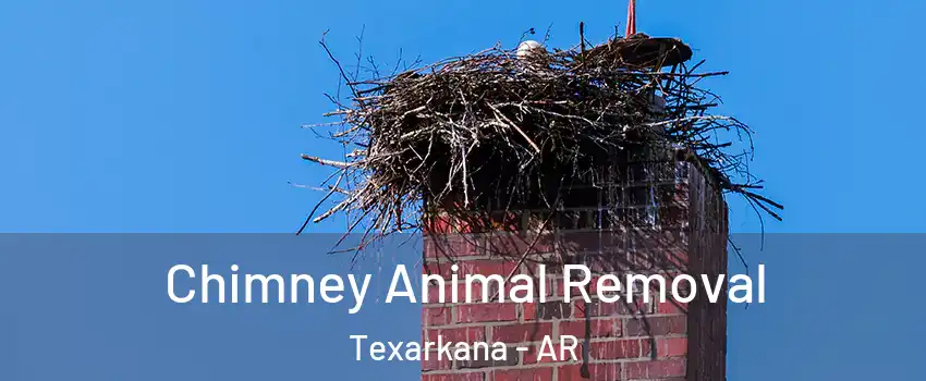 Chimney Animal Removal Texarkana - AR