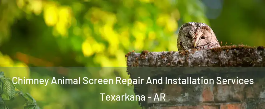  Chimney Animal Screen Repair And Installation Services Texarkana - AR