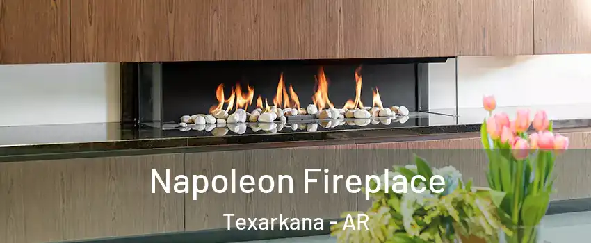 Napoleon Fireplace Texarkana - AR
